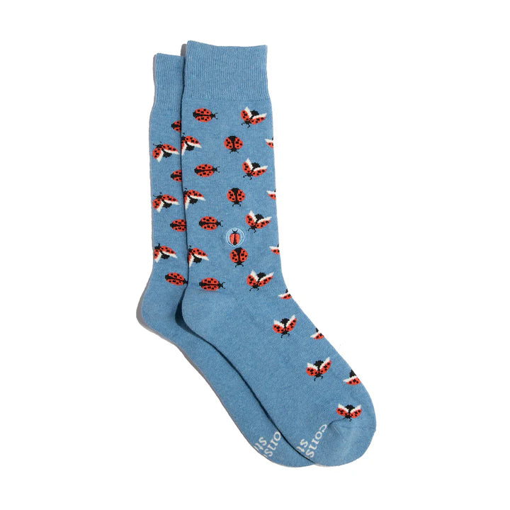 Fairtrade Socks That Protect Pollinators and Bees