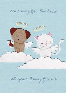 Fair Trade Furry Friend Loss Sympathy Card